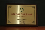 B1、中國(guó)房地產(chǎn)誠(chéng)信企業(yè)2005—2006年